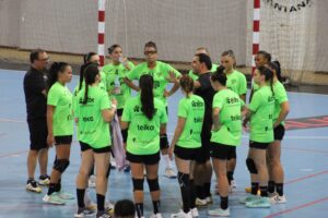 Lee más sobre el artículo El Festa d’Elx pone a prueba al Atticgo BM Elche
