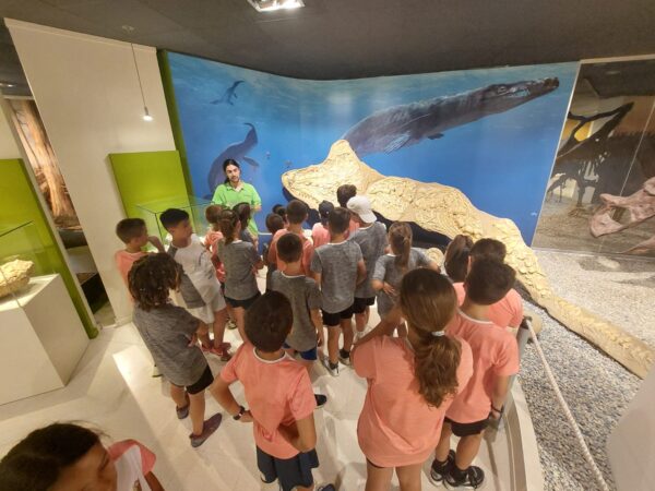 Campus verano 2025 - Imagen 15